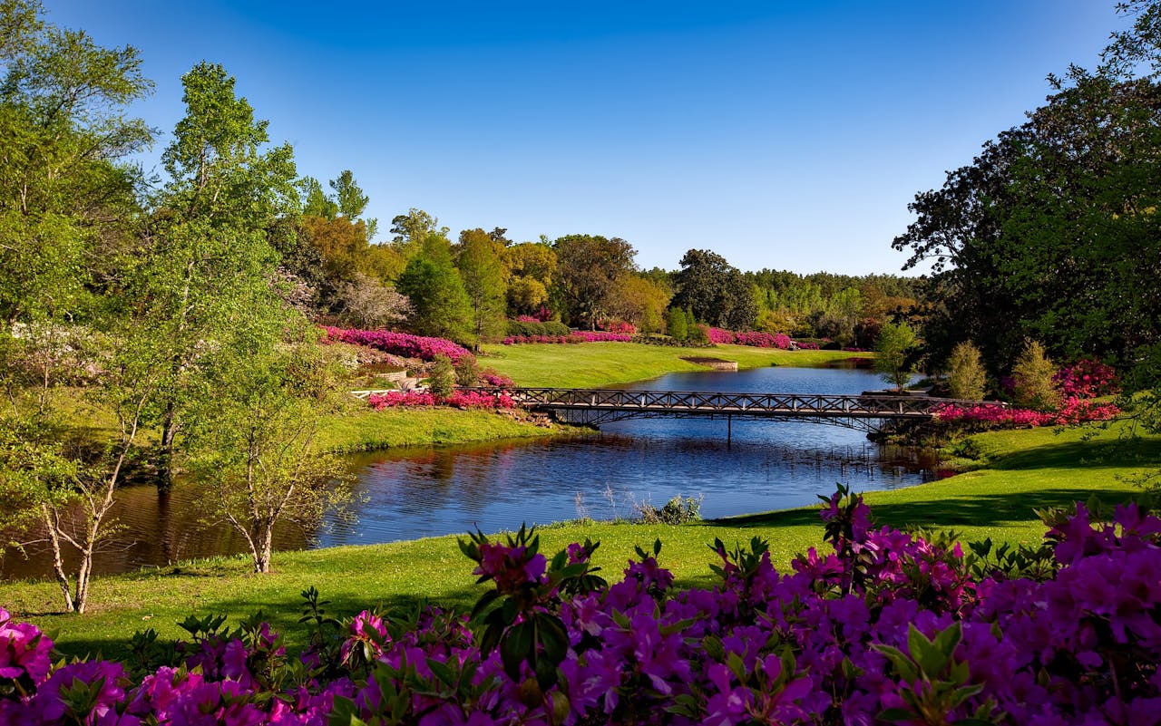 vision A beautiful spring garden landscape featuring vibrant pink flowers, a serene river, and a picturesque bridge.