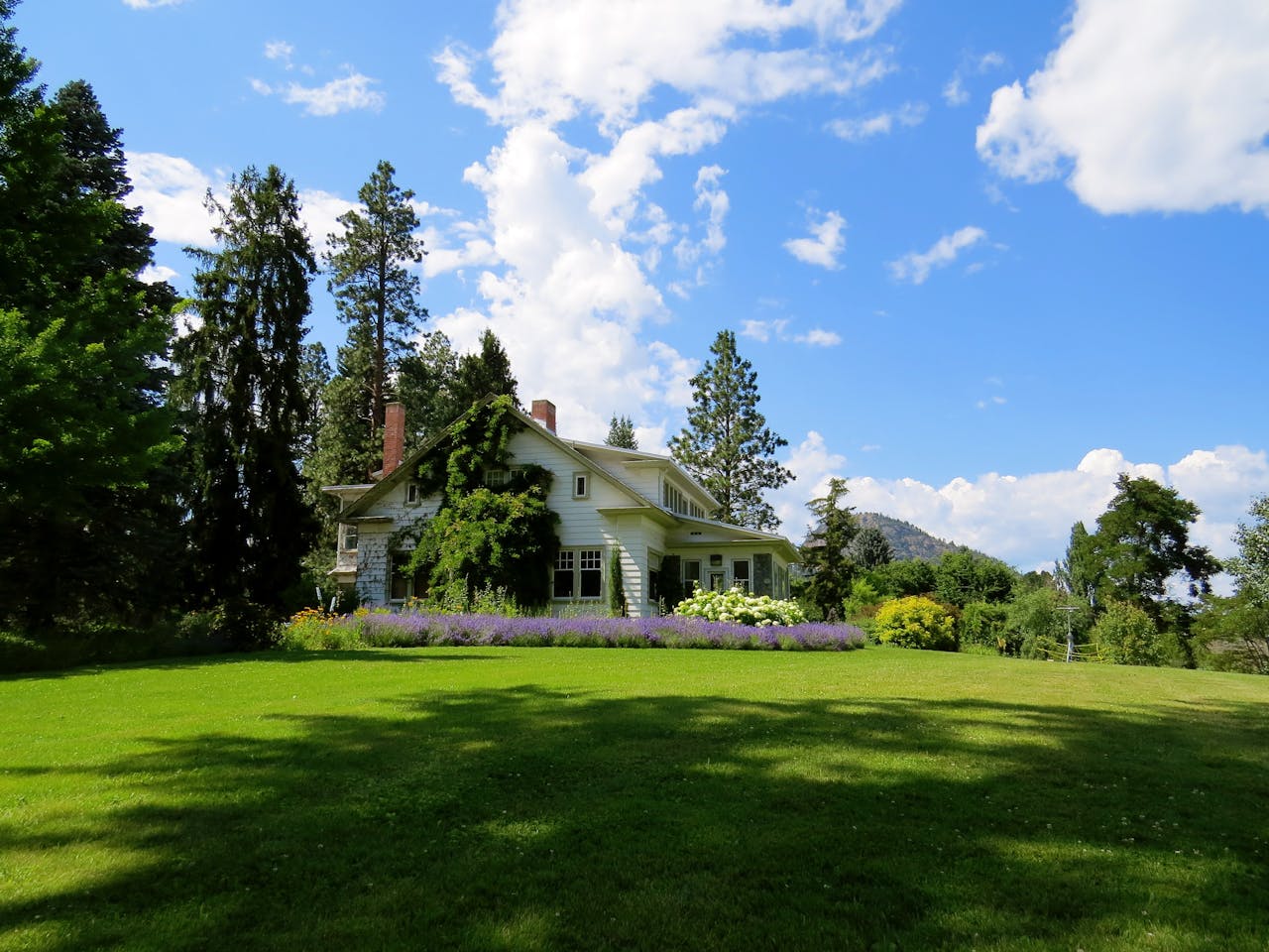our-story Idyllic countryside house surrounded by lavender and greenery under a bright blue sky.