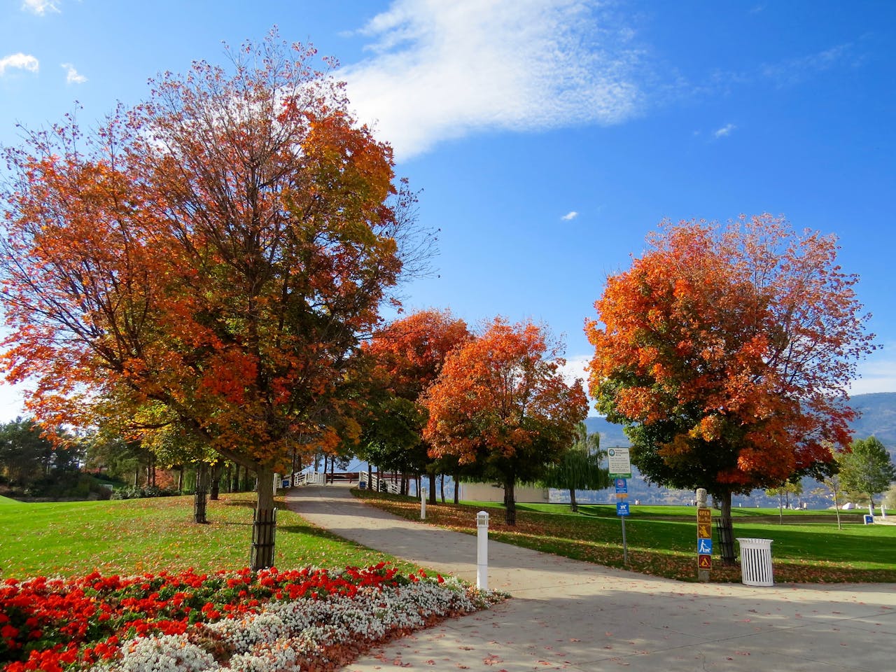 Mastering the First Impression: Your intriguing post title goes here A scenic park with colorful autumn trees lining a pathway under a clear blue sky.