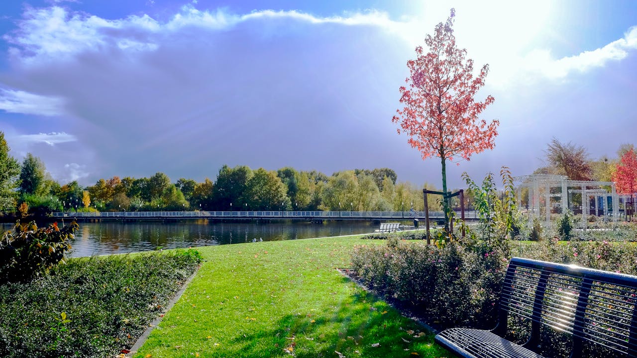 The Art of Drawing Readers In: Your attractive post title goes here Beautiful sunny park scene featuring benches, a lake, and lush greenery under a bright sky.