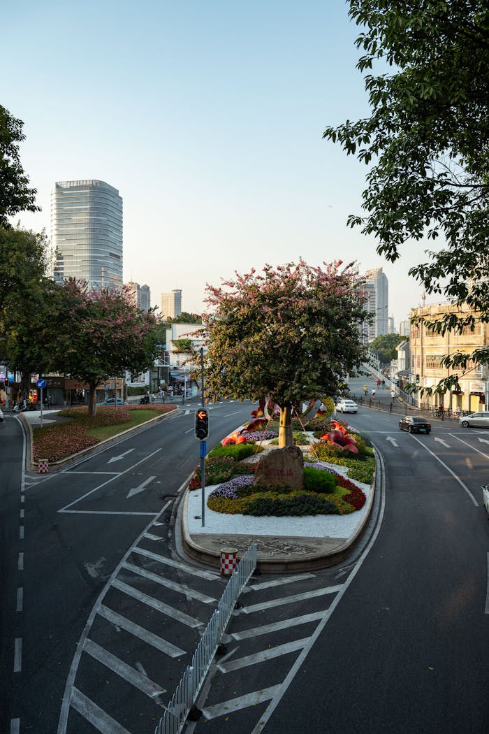 gallery-04 pexels-photo-35130095.jpeg